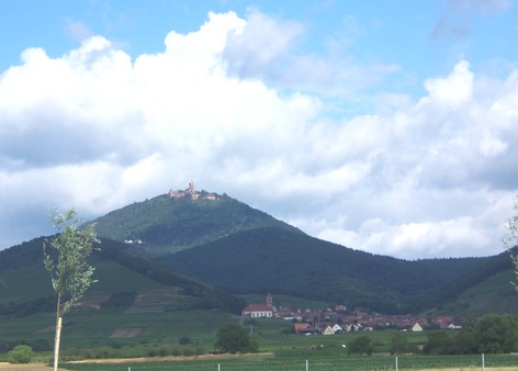 HAUT KOENIGSBOURG - Le chateau perch au sommet d'une colline - Photo LE POGAM